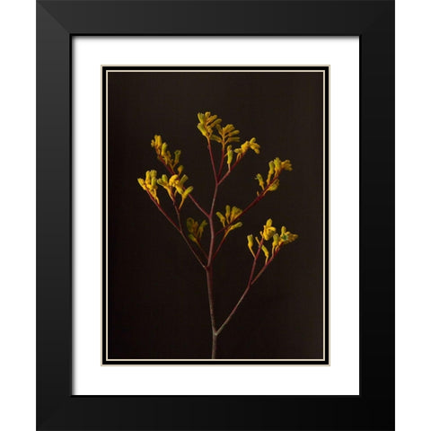 Dark and Dreamy V Black Modern Wood Framed Art Print with Double Matting by Stramel, Renee W.