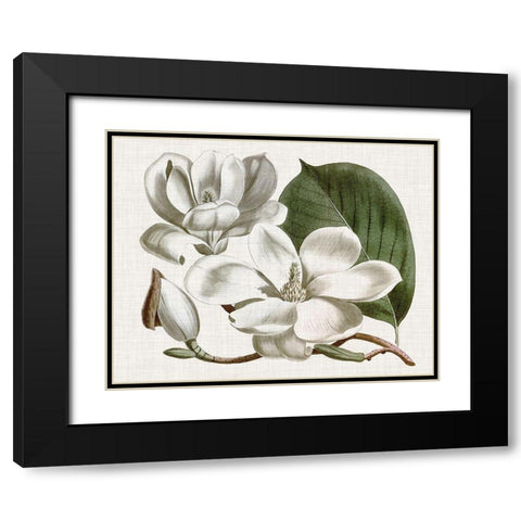 Curtis Magnolia I Black Modern Wood Framed Art Print with Double Matting by Curtis