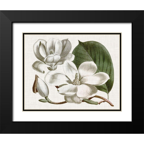 Curtis Magnolia I Black Modern Wood Framed Art Print with Double Matting by Curtis