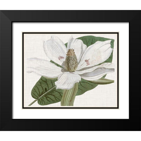 Curtis Magnolia II Black Modern Wood Framed Art Print with Double Matting by Curtis