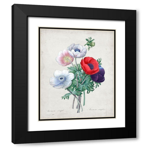 Redoute Bouquet II Black Modern Wood Framed Art Print with Double Matting by Redoute, Pierre