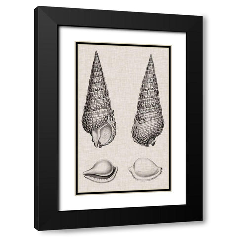 Charcoal and Linen Shells I Black Modern Wood Framed Art Print with Double Matting by Vision Studio
