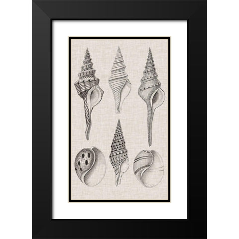 Charcoal and Linen Shells II Black Modern Wood Framed Art Print with Double Matting by Vision Studio