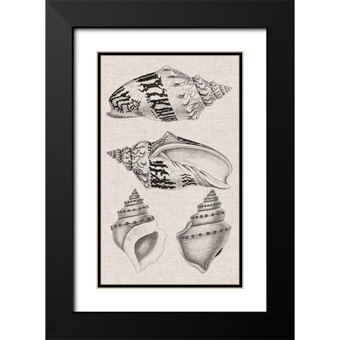 Charcoal and Linen Shells IV Black Modern Wood Framed Art Print with Double Matting by Vision Studio