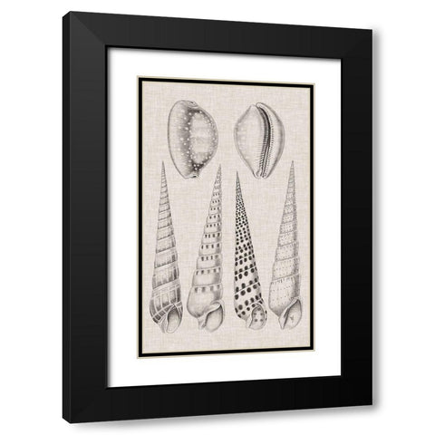 Charcoal and Linen Shells VI Black Modern Wood Framed Art Print with Double Matting by Vision Studio