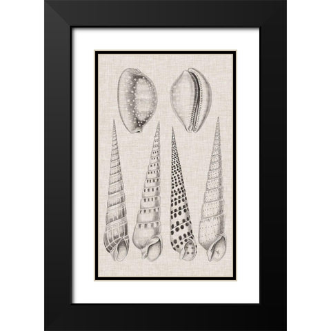 Charcoal and Linen Shells VI Black Modern Wood Framed Art Print with Double Matting by Vision Studio