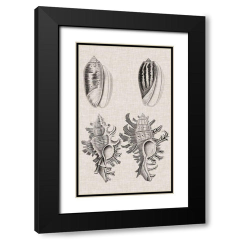 Charcoal and Linen Shells VII Black Modern Wood Framed Art Print with Double Matting by Vision Studio