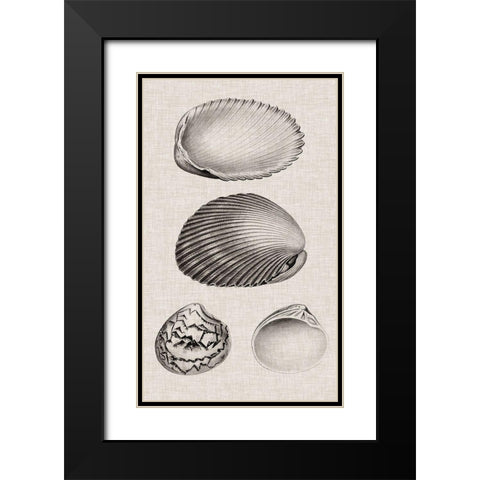 Charcoal and Linen Shells VIII Black Modern Wood Framed Art Print with Double Matting by Vision Studio