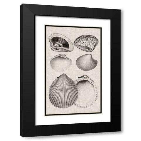 Charcoal and Linen Shells IX Black Modern Wood Framed Art Print with Double Matting by Vision Studio