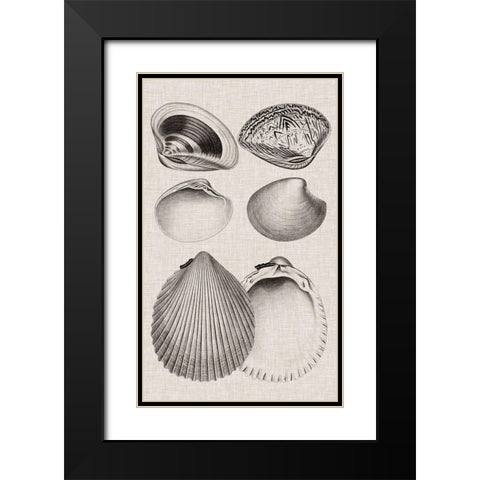 Charcoal and Linen Shells IX Black Modern Wood Framed Art Print with Double Matting by Vision Studio