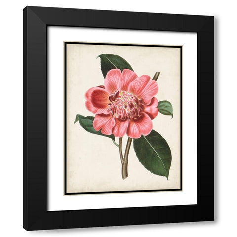 Carnelian Blooms I Black Modern Wood Framed Art Print with Double Matting by Curtis