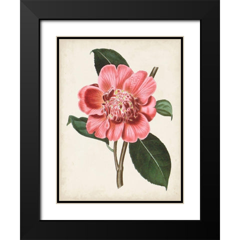 Carnelian Blooms I Black Modern Wood Framed Art Print with Double Matting by Curtis
