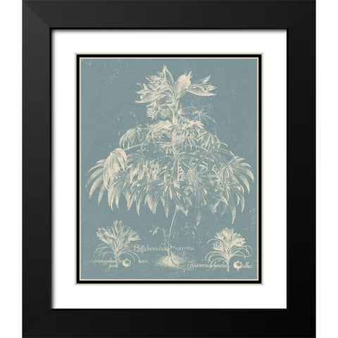 Delicate Besler Botanical I Black Modern Wood Framed Art Print with Double Matting by Vision Studio