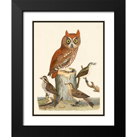 Wilson Owls II Black Modern Wood Framed Art Print with Double Matting by Wilson, Alexander