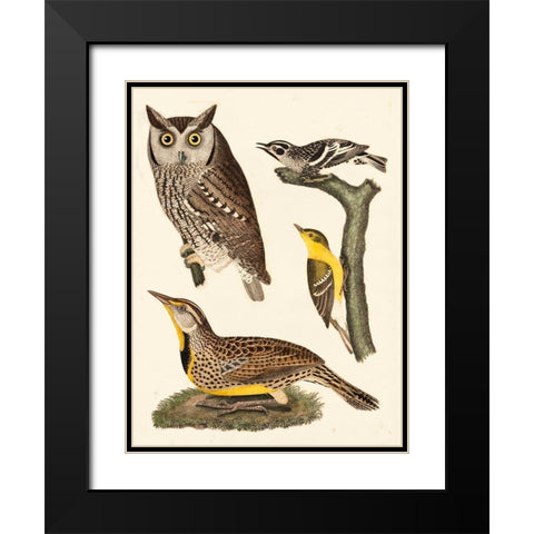 Wilson Owls III Black Modern Wood Framed Art Print with Double Matting by Wilson, Alexander