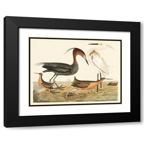 Heron Family IV Black Modern Wood Framed Art Print with Double Matting by Wilson, Alexander
