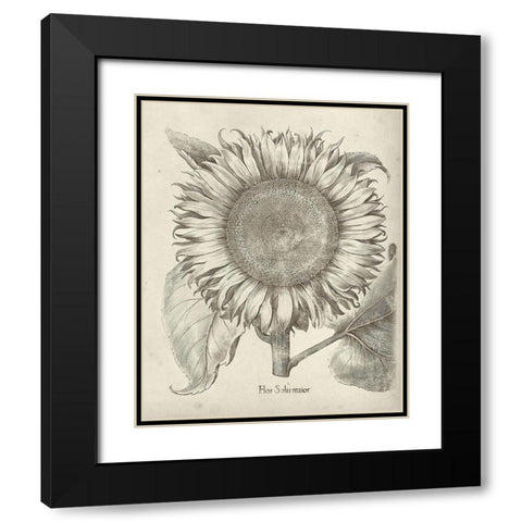 Fresco Sunflower I Black Modern Wood Framed Art Print with Double Matting by Vision Studio