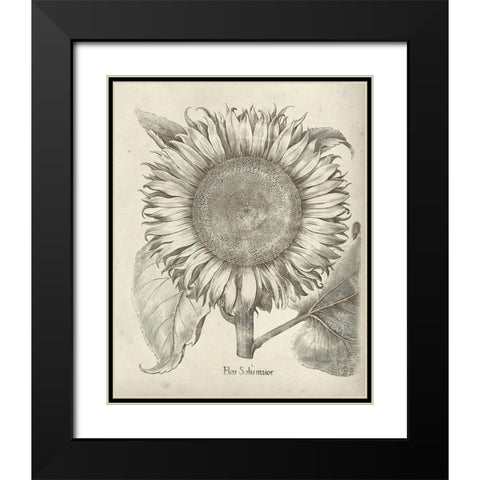 Fresco Sunflower I Black Modern Wood Framed Art Print with Double Matting by Vision Studio