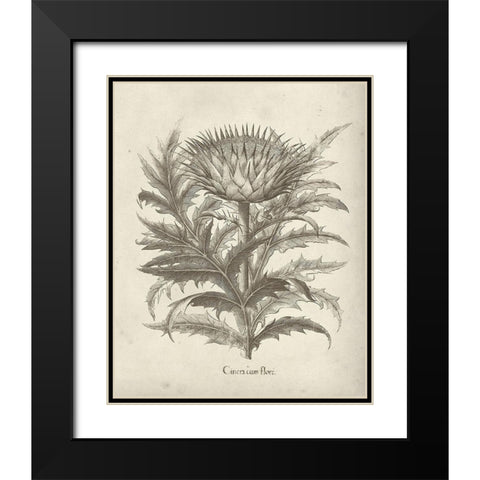 Fresco Artichoke I Black Modern Wood Framed Art Print with Double Matting by Vision Studio