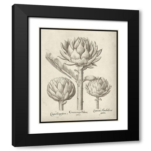 Fresco Artichoke II Black Modern Wood Framed Art Print with Double Matting by Vision Studio