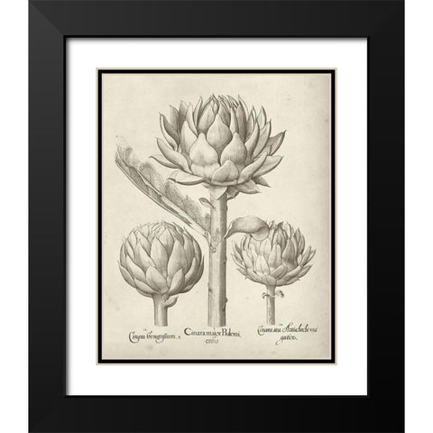 Fresco Artichoke II Black Modern Wood Framed Art Print with Double Matting by Vision Studio