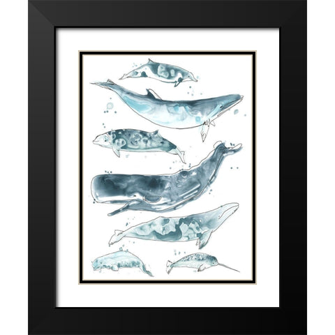 Cetacea II Black Modern Wood Framed Art Print with Double Matting by Vess, June Erica