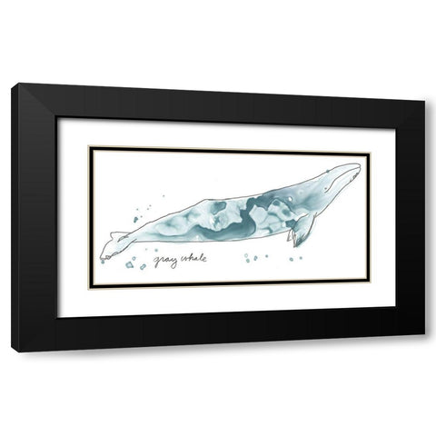 Cetacea Gray Whale Black Modern Wood Framed Art Print with Double Matting by Vess, June Erica