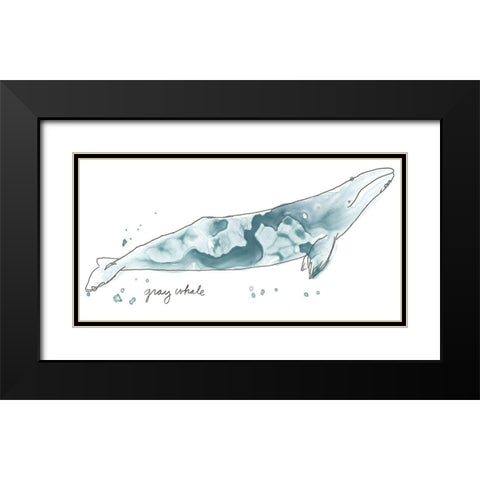 Cetacea Gray Whale Black Modern Wood Framed Art Print with Double Matting by Vess, June Erica
