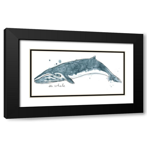 Cetacea Sei Whale Black Modern Wood Framed Art Print with Double Matting by Vess, June Erica