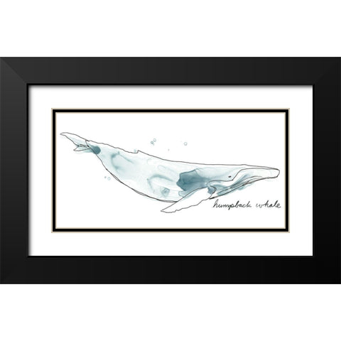 Cetacea Humpback Black Modern Wood Framed Art Print with Double Matting by Vess, June Erica