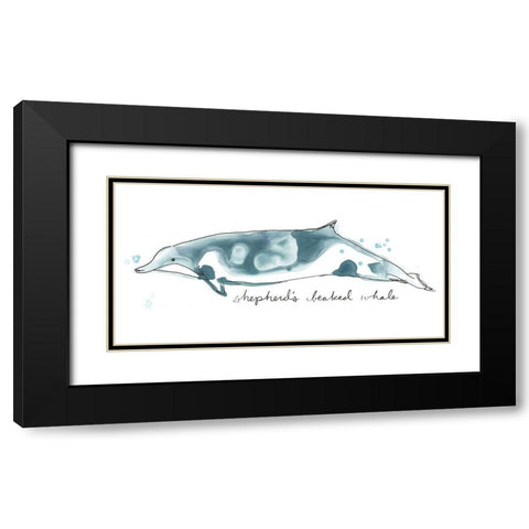 Cetacea Shepherds Beak Whale Black Modern Wood Framed Art Print with Double Matting by Vess, June Erica