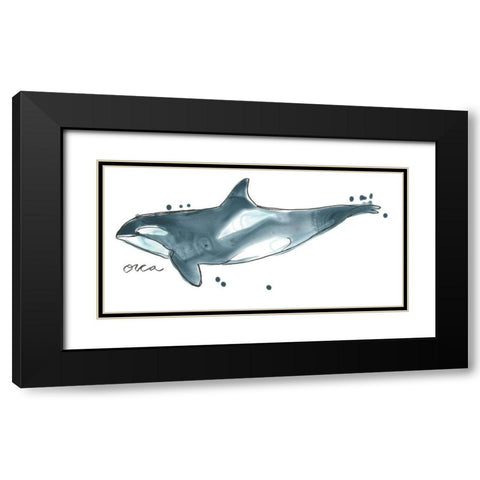 Cetacea Orca Whale Black Modern Wood Framed Art Print with Double Matting by Vess, June Erica
