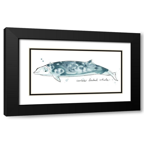 Cetacea Cuviers Beaked Whale Black Modern Wood Framed Art Print with Double Matting by Vess, June Erica