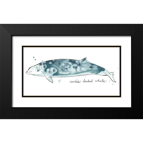 Cetacea Cuviers Beaked Whale Black Modern Wood Framed Art Print with Double Matting by Vess, June Erica