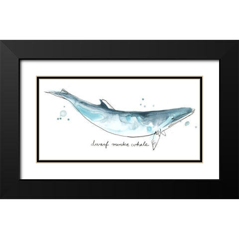 Cetacea Dwarf Minke Whale Black Modern Wood Framed Art Print with Double Matting by Vess, June Erica