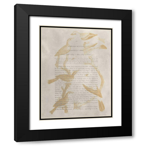 Ornithology Impressions II Black Modern Wood Framed Art Print with Double Matting by Wilson, Alexander