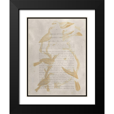 Ornithology Impressions II Black Modern Wood Framed Art Print with Double Matting by Wilson, Alexander
