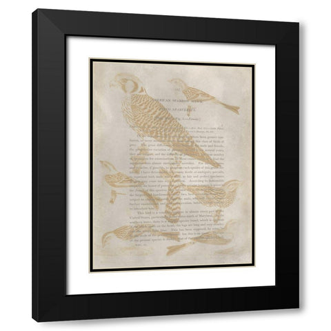 Ornithology Impressions V Black Modern Wood Framed Art Print with Double Matting by Wilson, Alexander