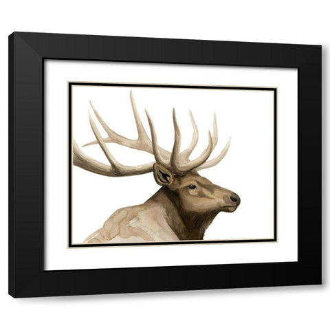 Call of the Elk I Black Modern Wood Framed Art Print with Double Matting by Popp, Grace