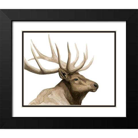 Call of the Elk I Black Modern Wood Framed Art Print with Double Matting by Popp, Grace