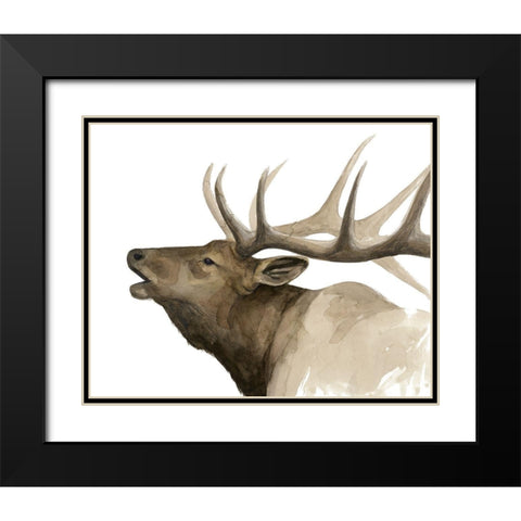 Call of the Elk II Black Modern Wood Framed Art Print with Double Matting by Popp, Grace