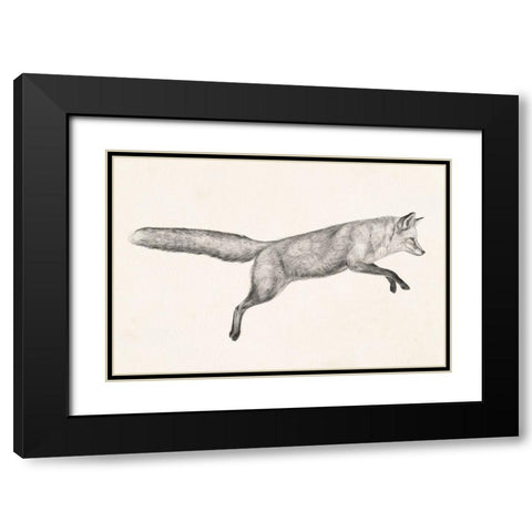 Flying Fox I Black Modern Wood Framed Art Print with Double Matting by Borges, Victoria