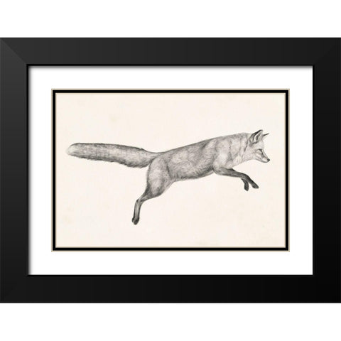 Flying Fox I Black Modern Wood Framed Art Print with Double Matting by Borges, Victoria