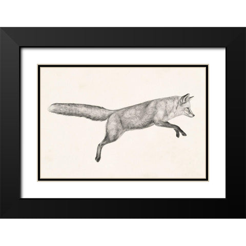 Flying Fox I Black Modern Wood Framed Art Print with Double Matting by Borges, Victoria