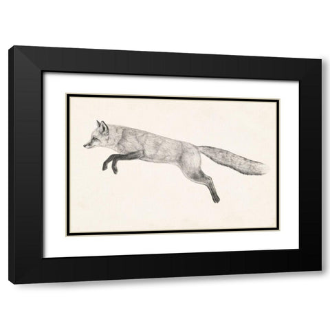 Flying Fox II Black Modern Wood Framed Art Print with Double Matting by Borges, Victoria