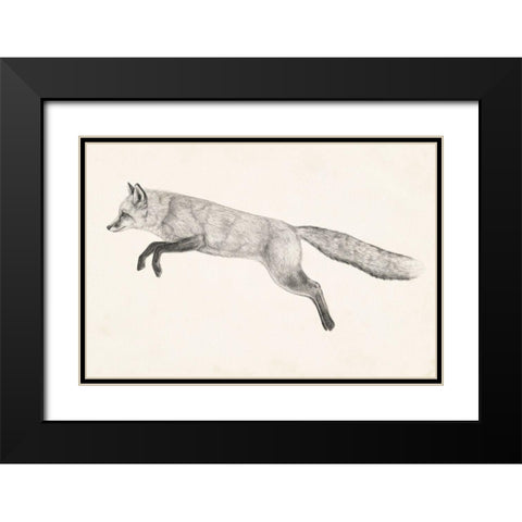 Flying Fox II Black Modern Wood Framed Art Print with Double Matting by Borges, Victoria
