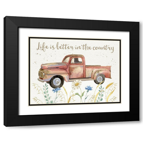 Nostalgic Farm II Black Modern Wood Framed Art Print with Double Matting by Maday, Jane