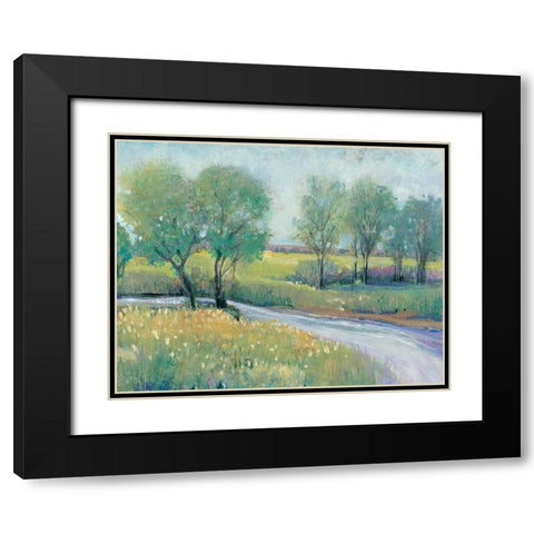 Summer Stream I Black Modern Wood Framed Art Print with Double Matting by OToole, Tim