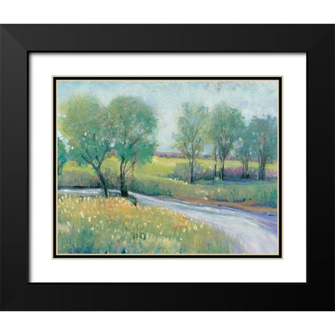 Summer Stream I Black Modern Wood Framed Art Print with Double Matting by OToole, Tim