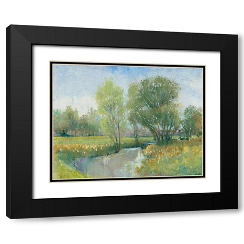 Summer Stream II Black Modern Wood Framed Art Print with Double Matting by OToole, Tim